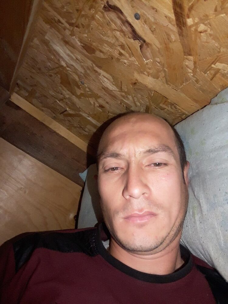 ���� 17352850 ������� ������, 40 ���, ���� ���������� � ���������������