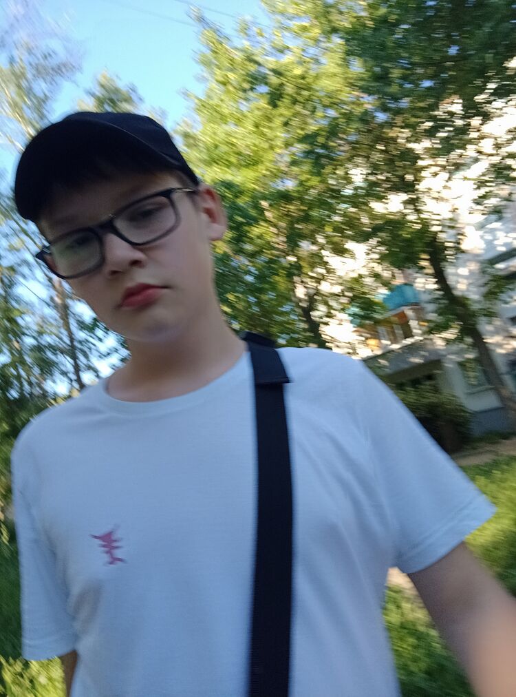 44116010  , 24 ,    