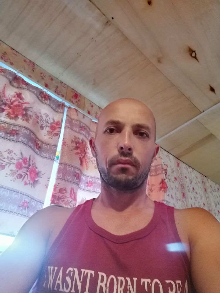 ���� 24090450 ������� ���������, 103 ����, ���� ���������� � ����