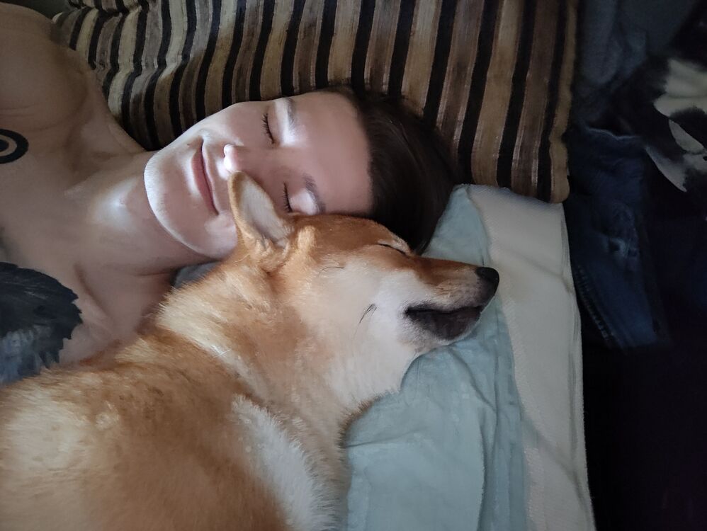 ���������� �����������, ���� ����� ����, 24 ����, ������������ ��� ������, ����� � ���������