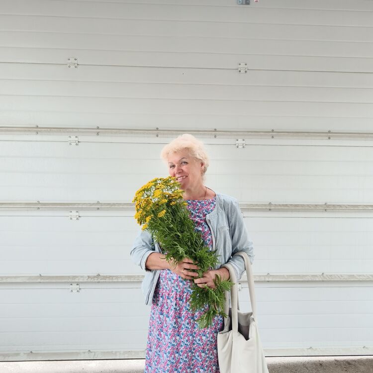 ���������� �����, ���� ������� �����, 65 ���, ������������ ��� c�������� ���������