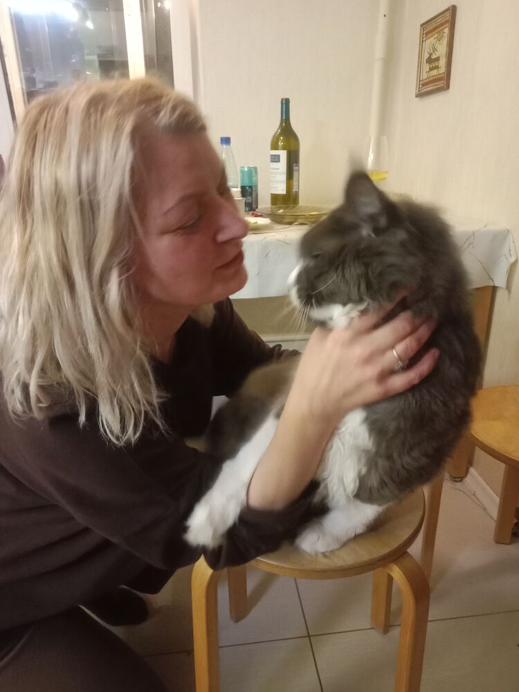 ���� 55416930 ������� �����, 51 ���, ���� ���������� � ���������