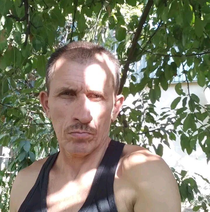  29578310  , 53 ,    