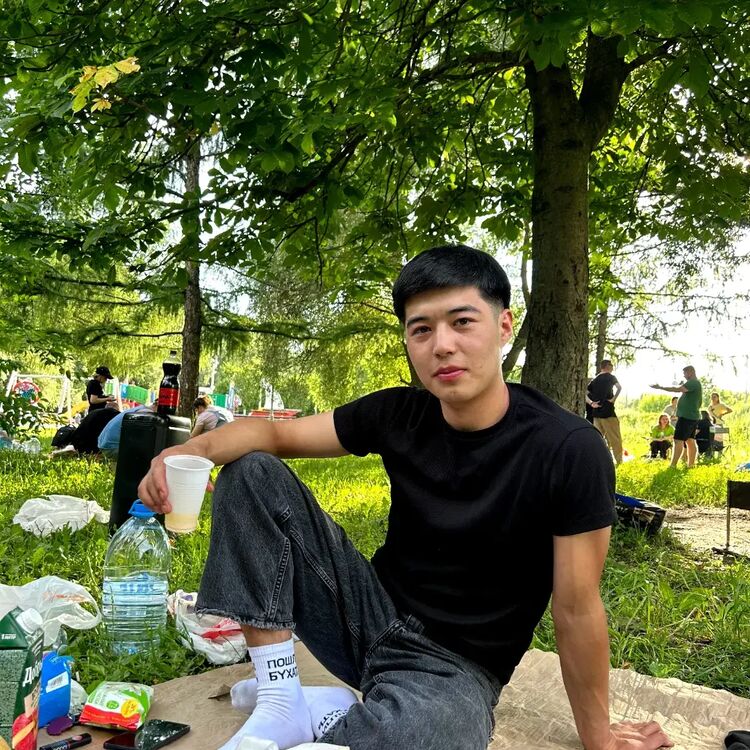  44197000  Meder, 24 ,    