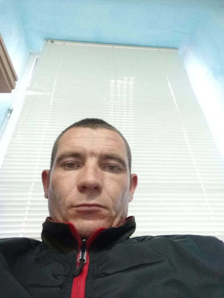  38176920  , 31 ,    