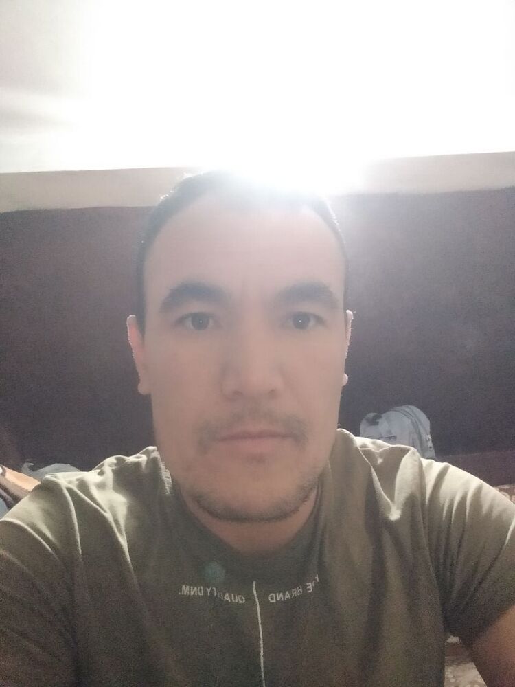  41766390  , 31 ,    