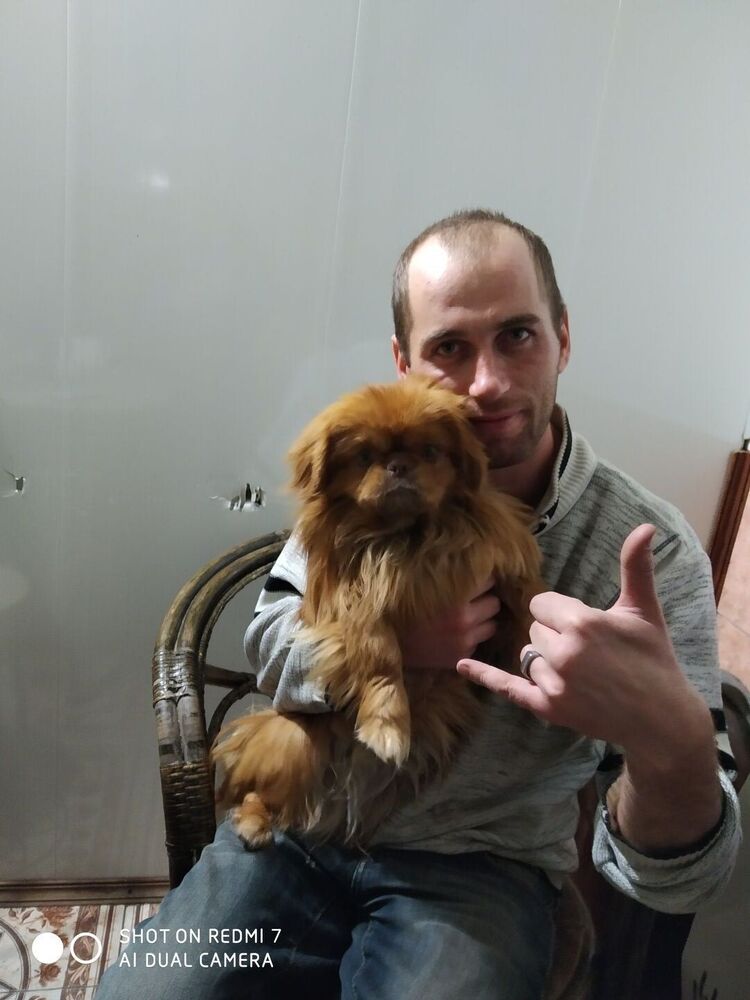 ���� 53223230 ������� �����, 33 ����, ���� ���������� � ��������