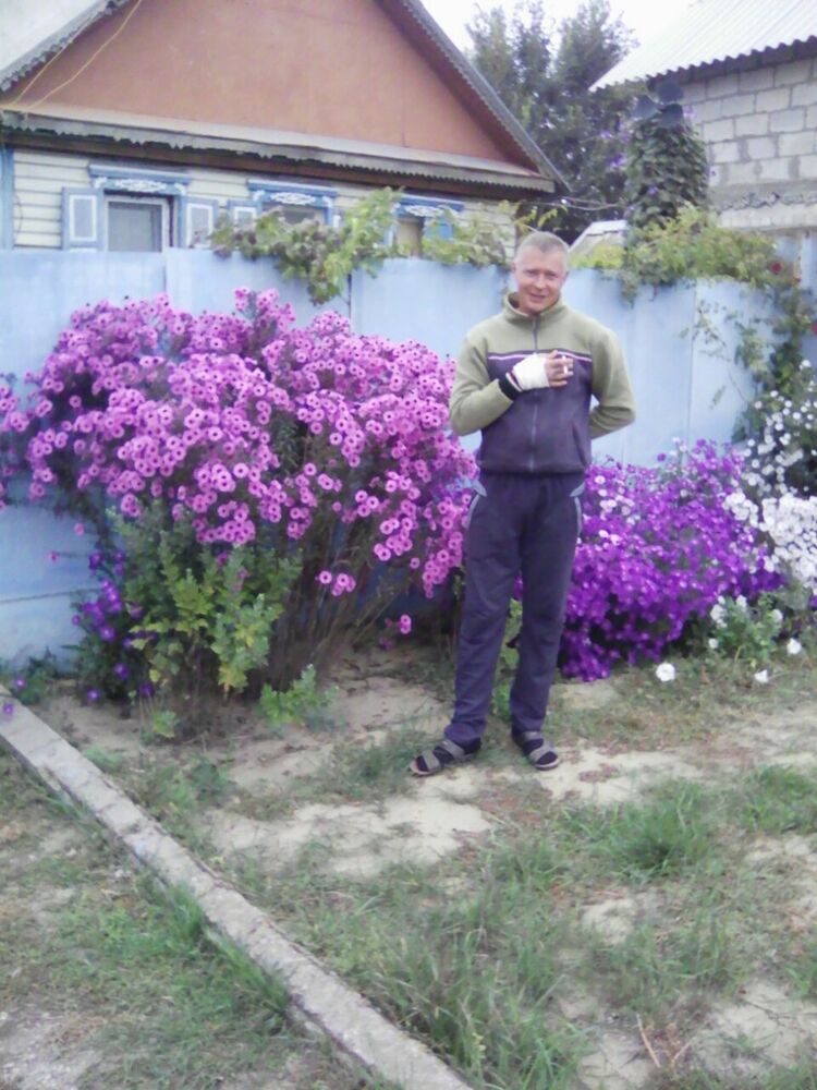 ���� 8288650 ������� ����, 40 ���, ���� ���������� � ����������