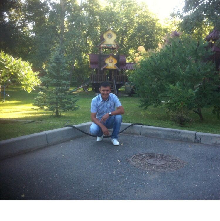 ���� 11728870 ������� ������, 43 ����, ���� ���������� � ���������