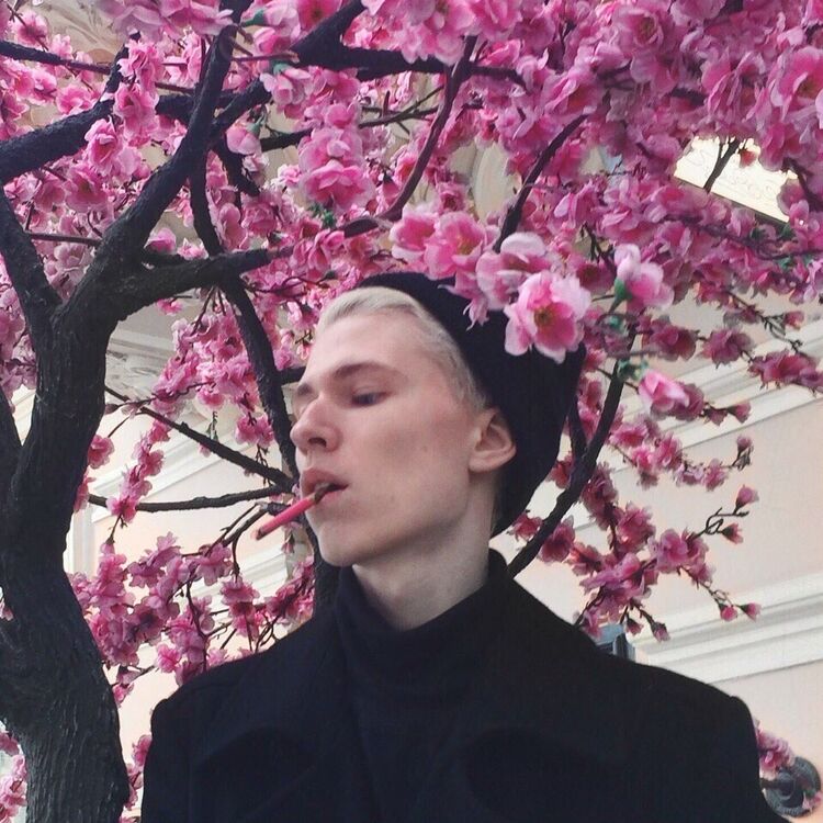 ���������� ���������, ���� ������� �����, 29 ���, ������������ ��� ������, ����� � ���������, c�������� ���������, ���������