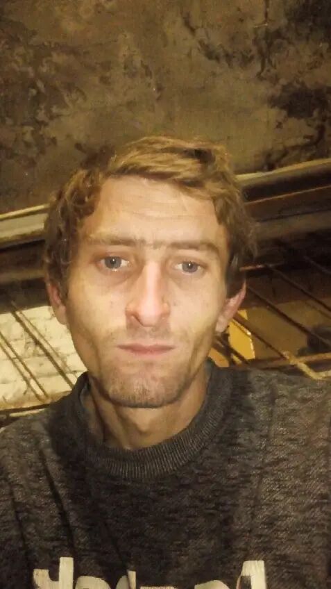 ���� 24494980 ������� ������, 31 ���, ���� ���������� � �����