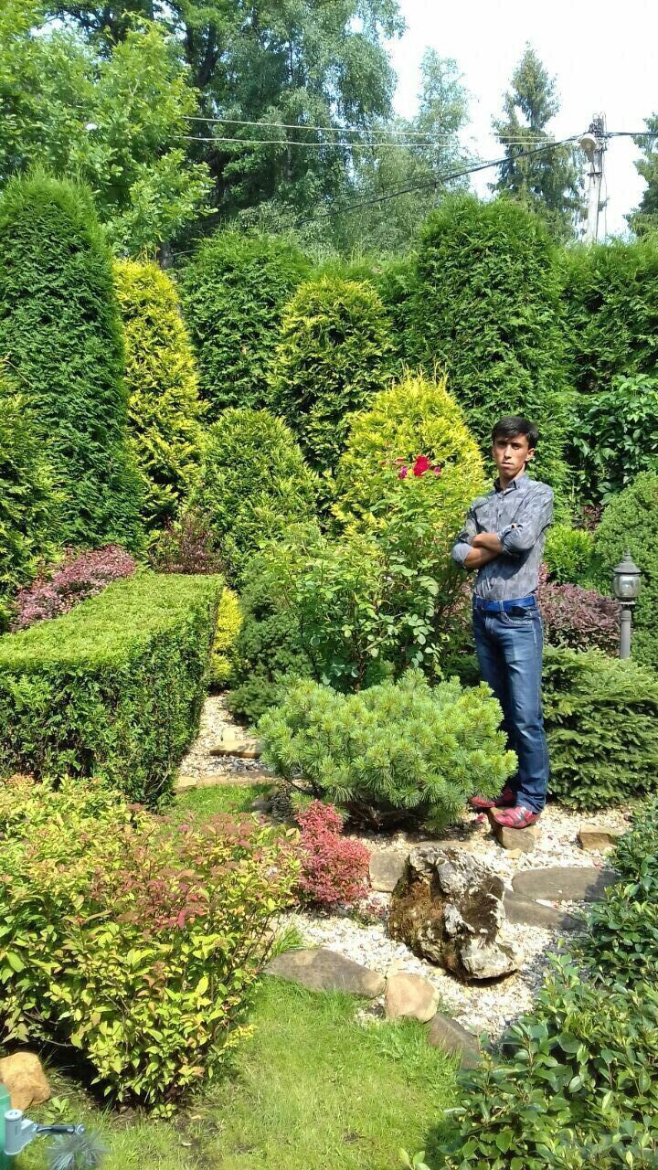 ���������� �������, ���� ������� ��������, 32 ����, ������������ ��� ������, ����� � ���������