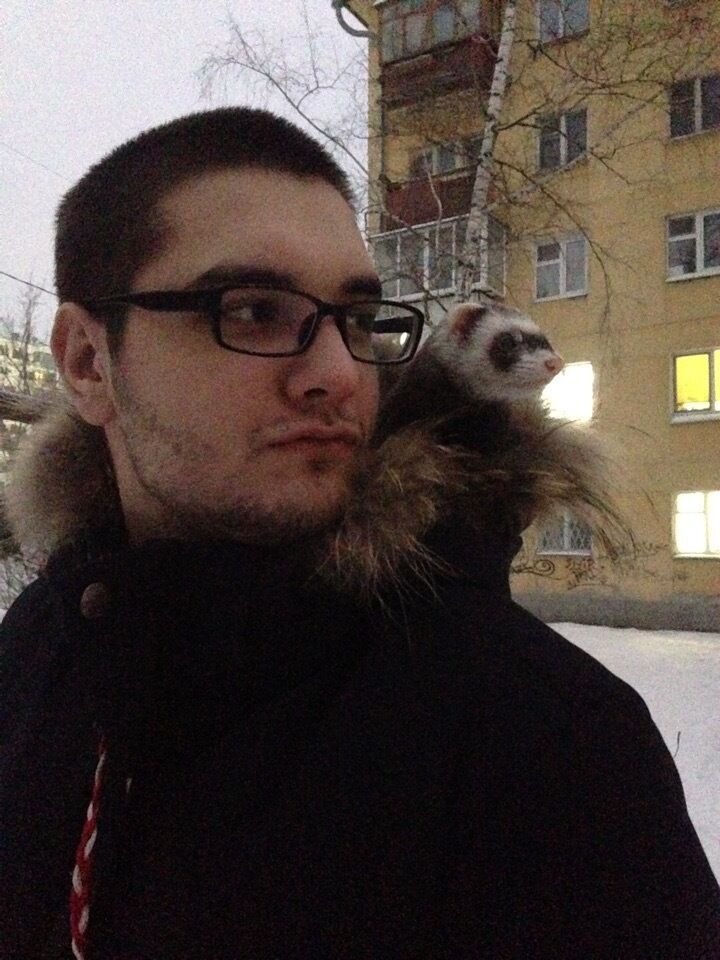 ���������� ������, ���� ������� �������, 26 ���, ������������ ��� ������