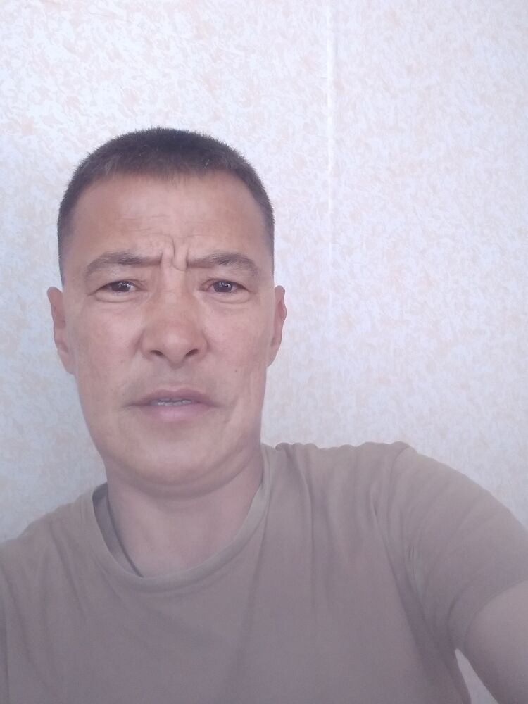  43579880  , 46 ,    