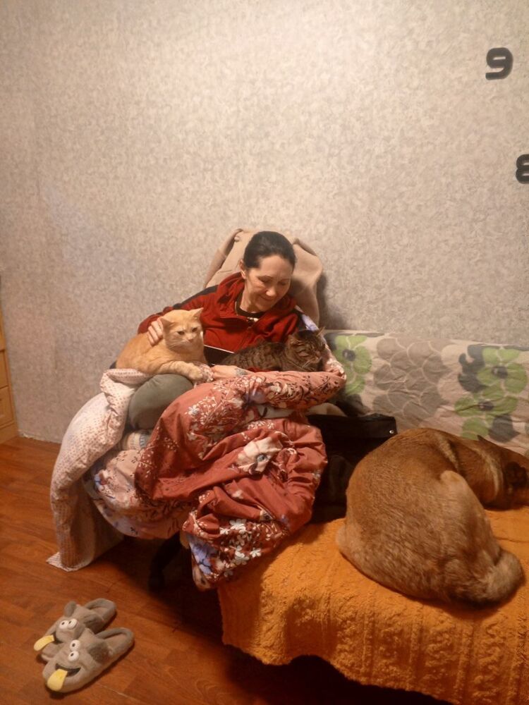 ���� 55523900 ������� �����, 72 ����, ���� ���������� � �����