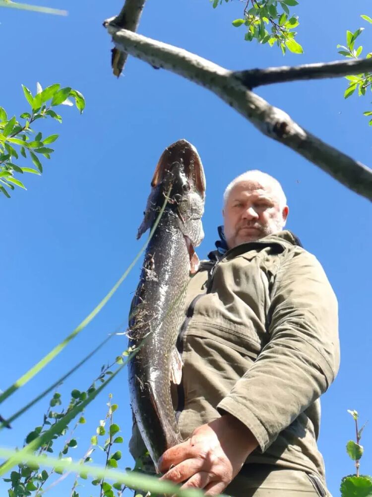 ���������� ����������, ���� ������� �������, 65 ���, ������������ ��� ������, ����� � ���������, c�������� ���������, ���������