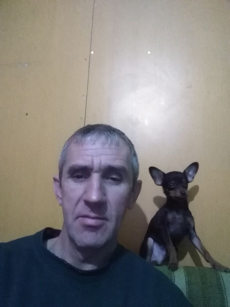 ���� 15295120 ������� ������, 50 ���, ���� ���������� � ������