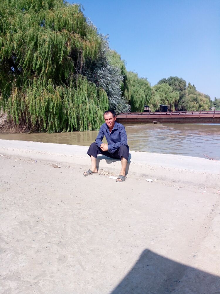  23704550  , 41 ,    