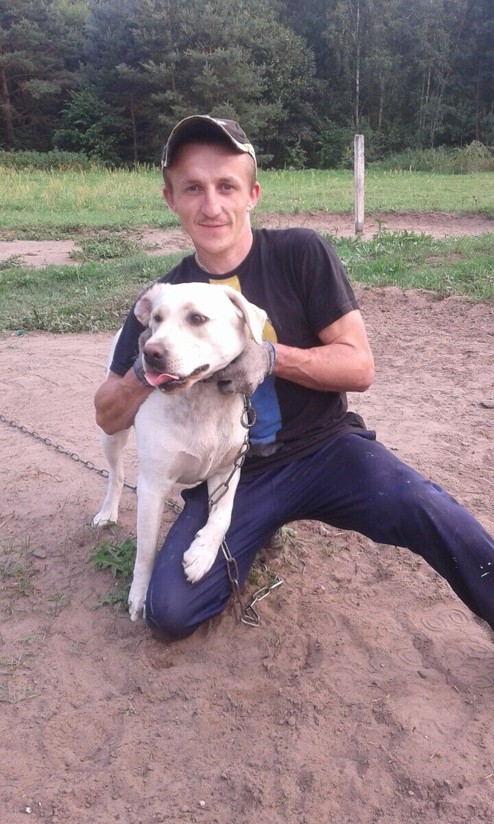 ���������� ������, ���� ������� ������, 38 ���, ������������ ��� ������, ����� � ���������, c�������� ���������