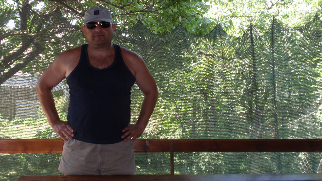 ���� 50122140 ������� �����, 99 ���, ���� ���������� � �����������