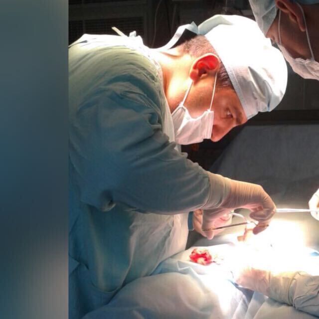 ���� 44111310 ������� ������, 36 ���, ���� ���������� � ������