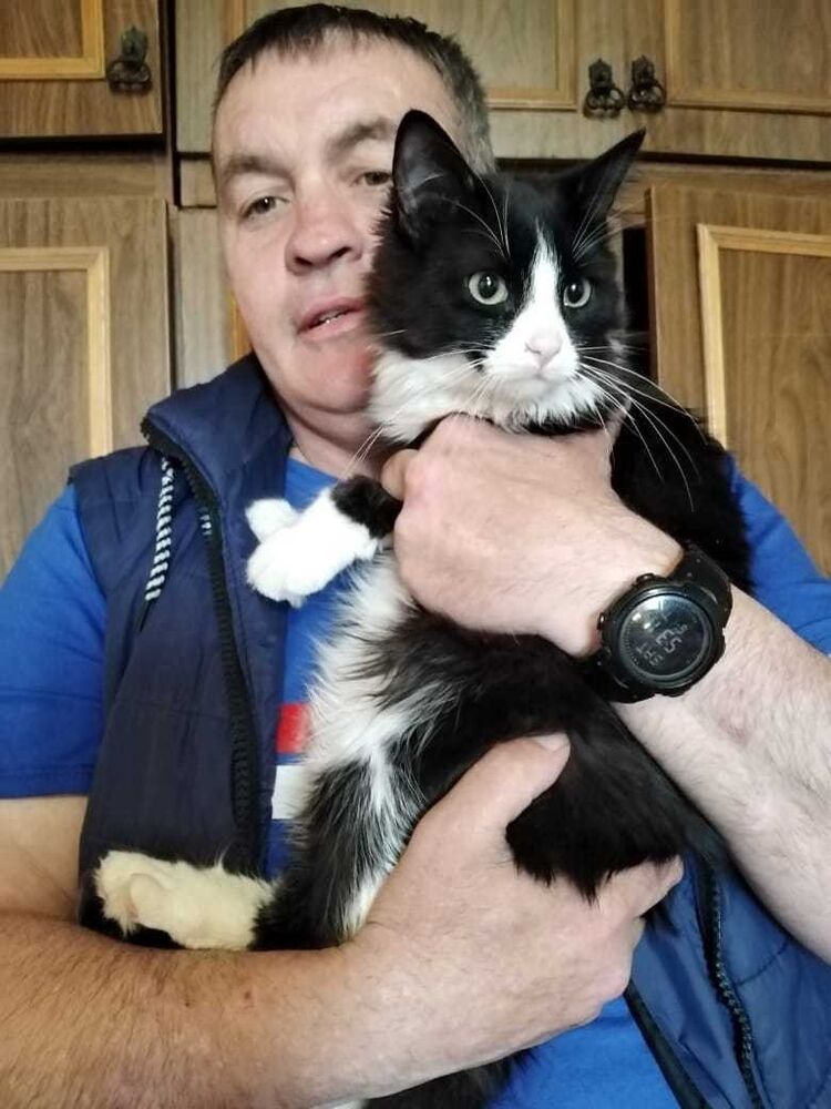 ���������� �����-���������, ���� ������� ��������, 55 ���, ������������ ��� ����� � ���������, c�������� ���������