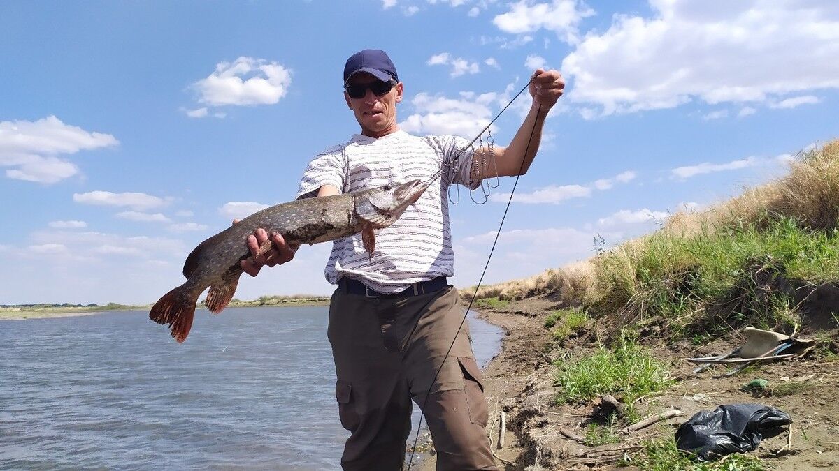 ���� 18460230 ������� ������, 40 ���, ���� ���������� � �������������