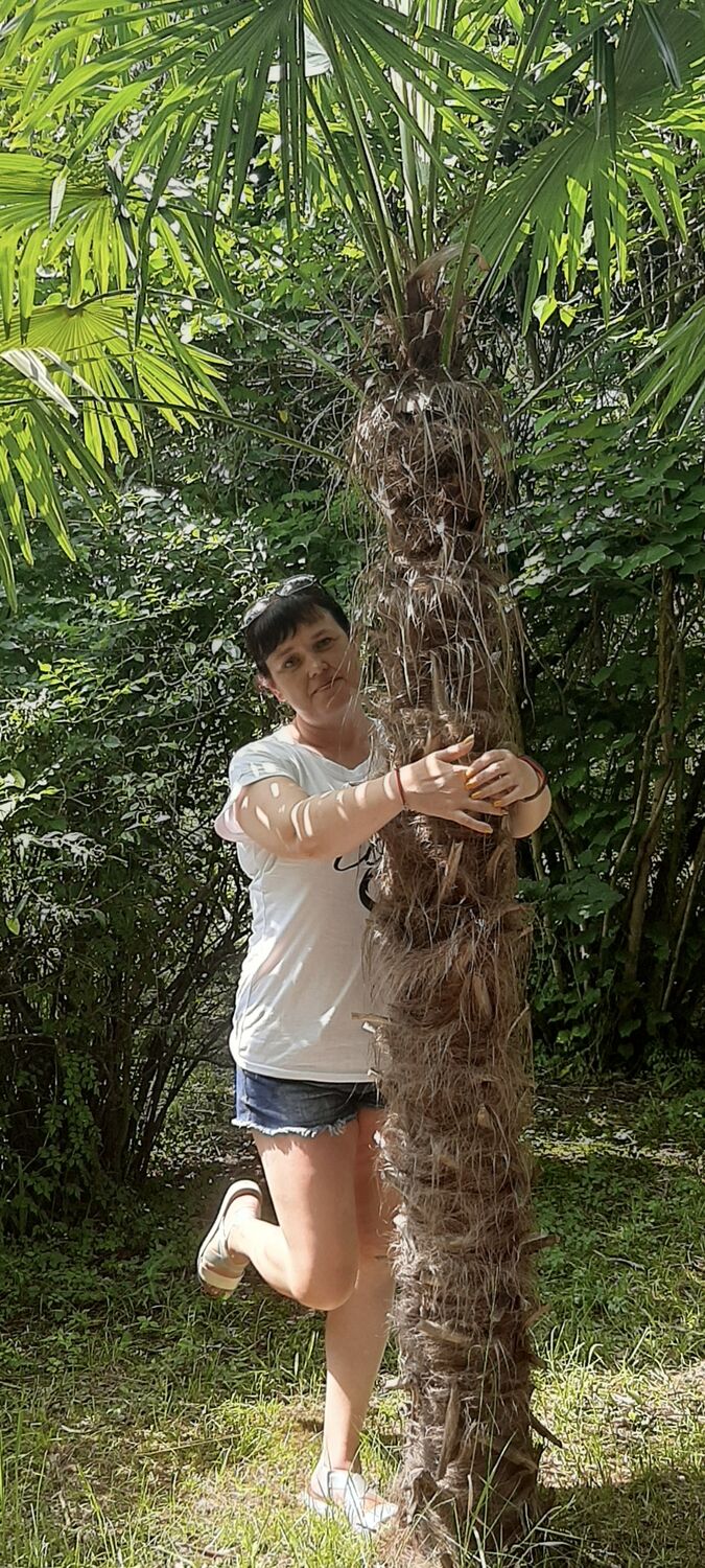  ,   , 47 ,     , c , 