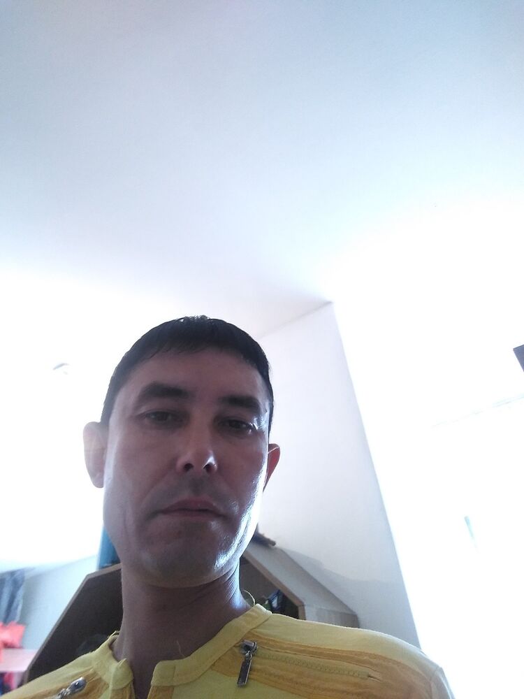  17661400  , 38 ,    