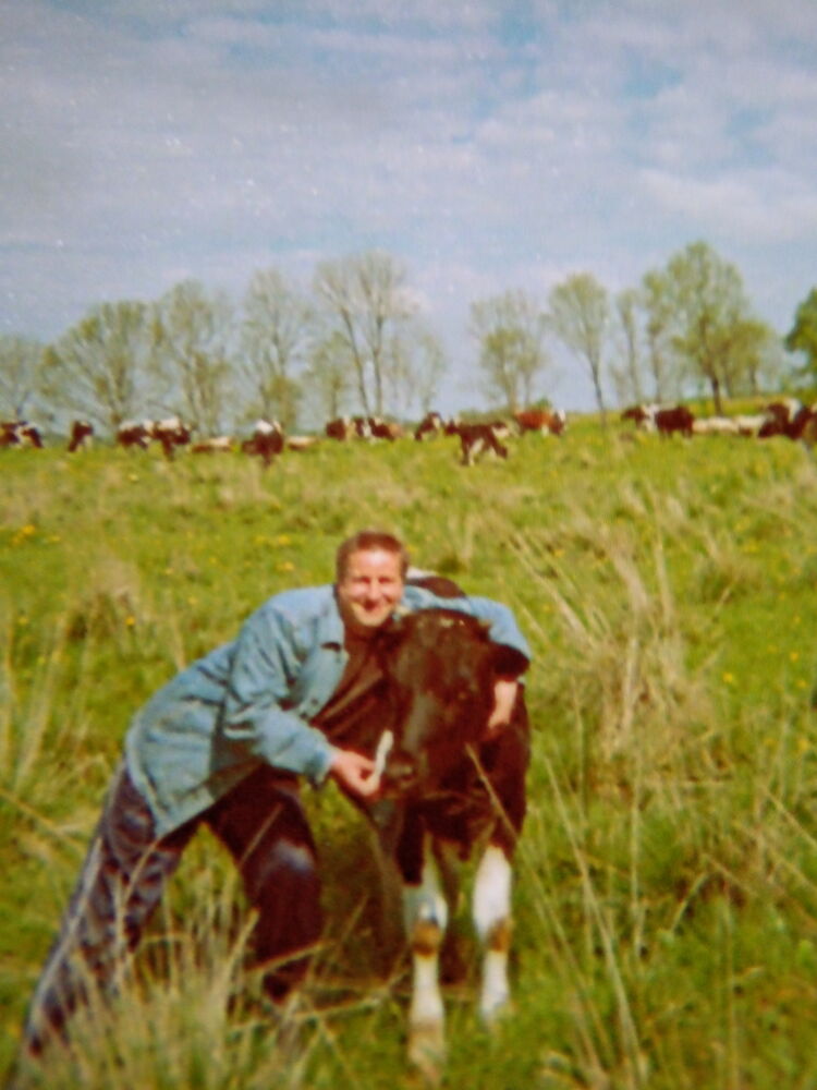  ,   , 49 ,     , c 