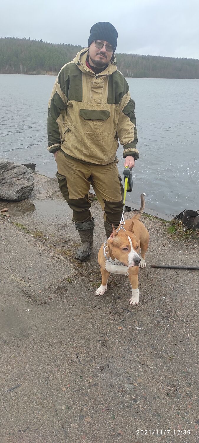  27535020  , 36 ,    -