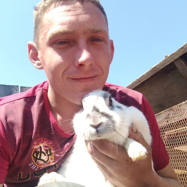 ���� 12762270 ������� ����, 32 ����, ���� ���������� � ����������