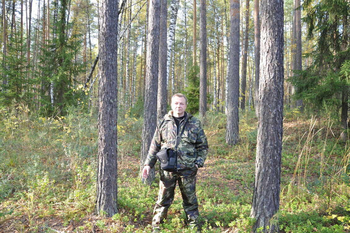 ���������� �����, ���� ������� ������, 53 ����, ������������ ��� ������, ����� � ���������, c�������� ���������