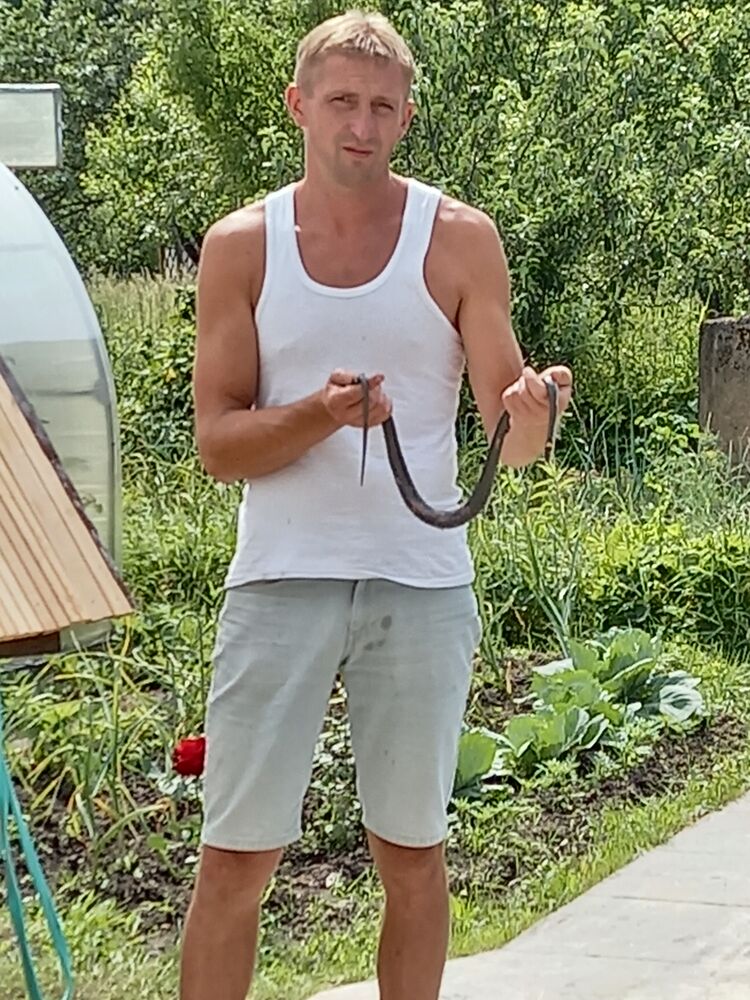 ���������� �����, ���� ������� ����, 38 ���, ������������ ��� ������, ����� � ���������, c�������� ���������