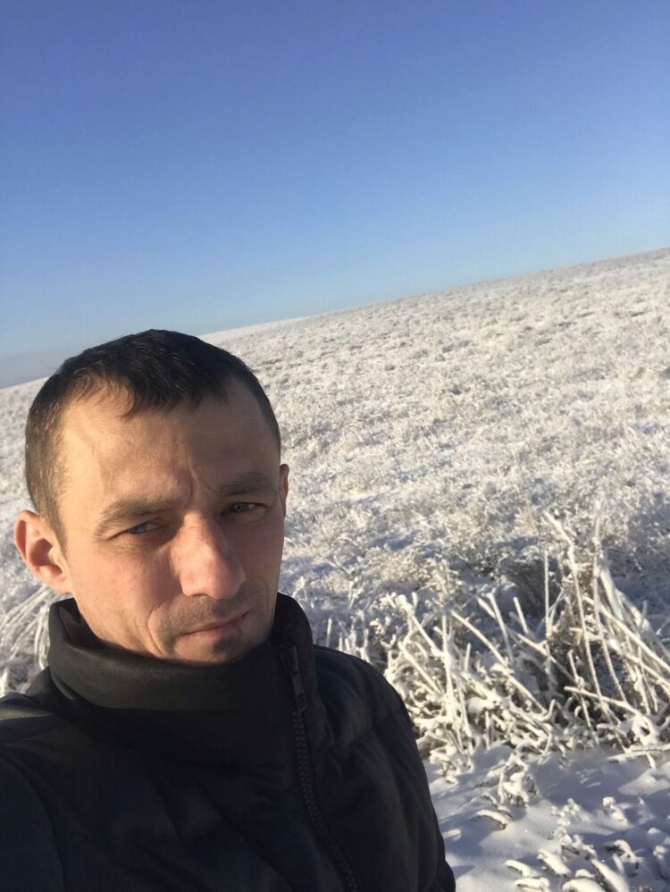  31659300  , 38 ,    