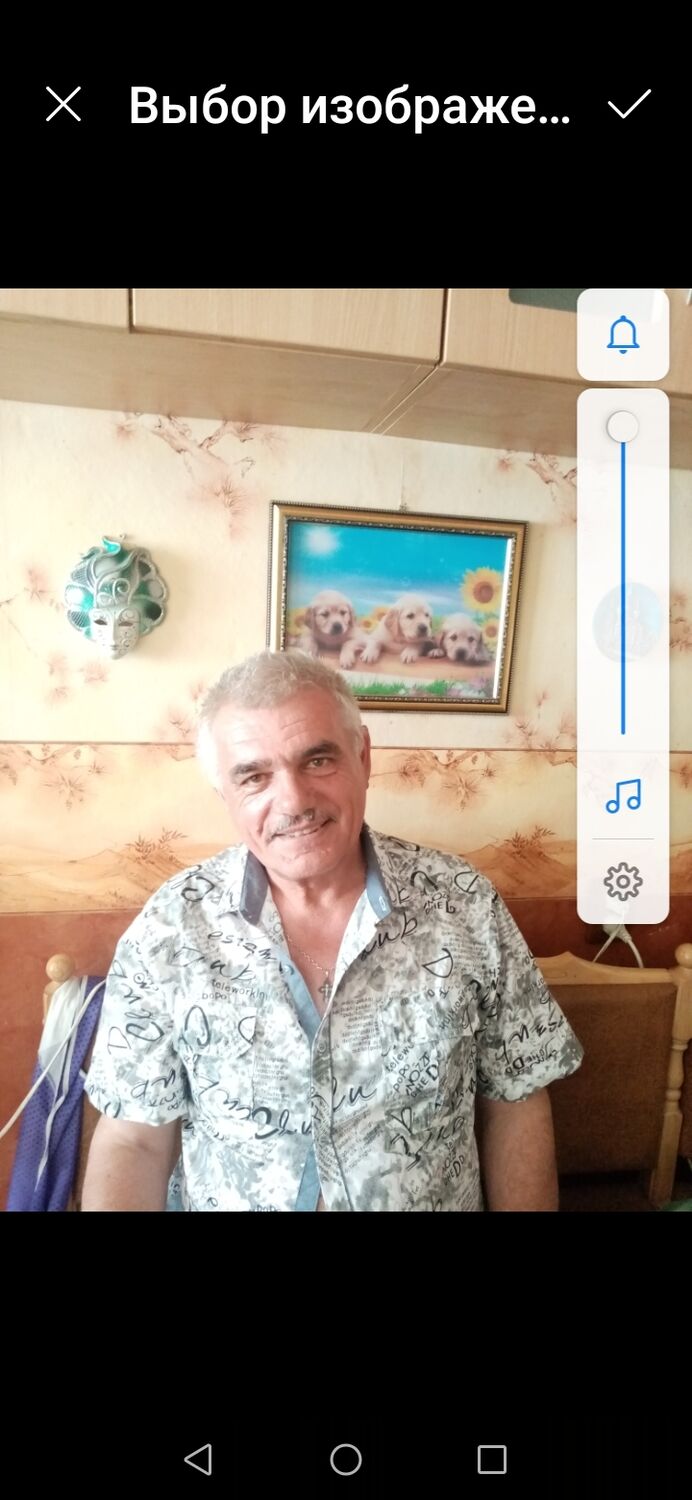  40565330  , 65 ,    