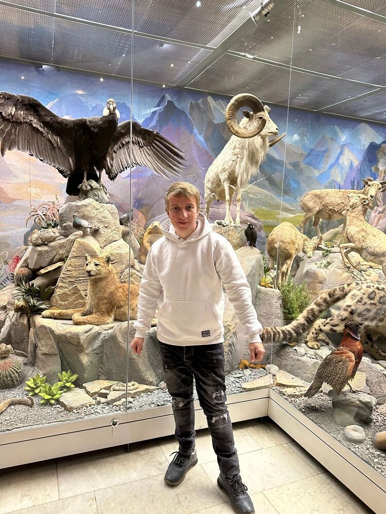 ���������� ������, ���� ������� ����, 40 ���, ������������ ��� c�������� ���������