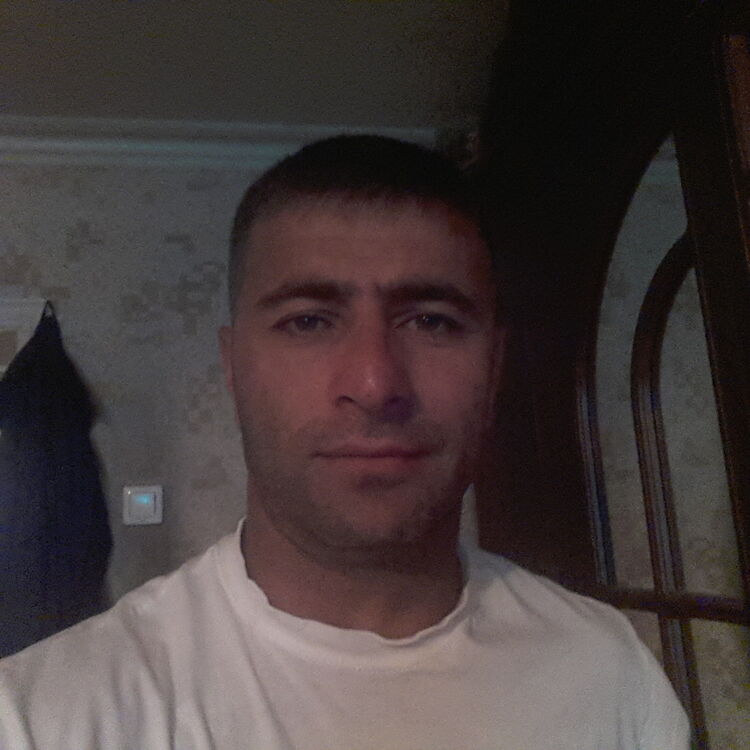  26909920  , 43 ,    