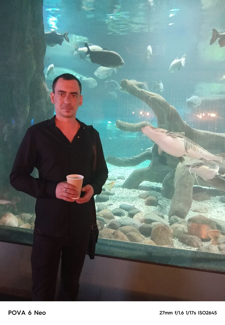 ���� 54833240 ������� ����, 34 ����, ���� ���������� � ��������