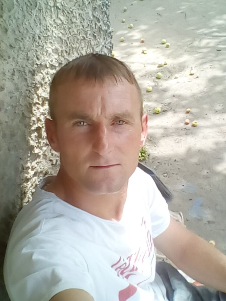  29502810  , 34 ,     