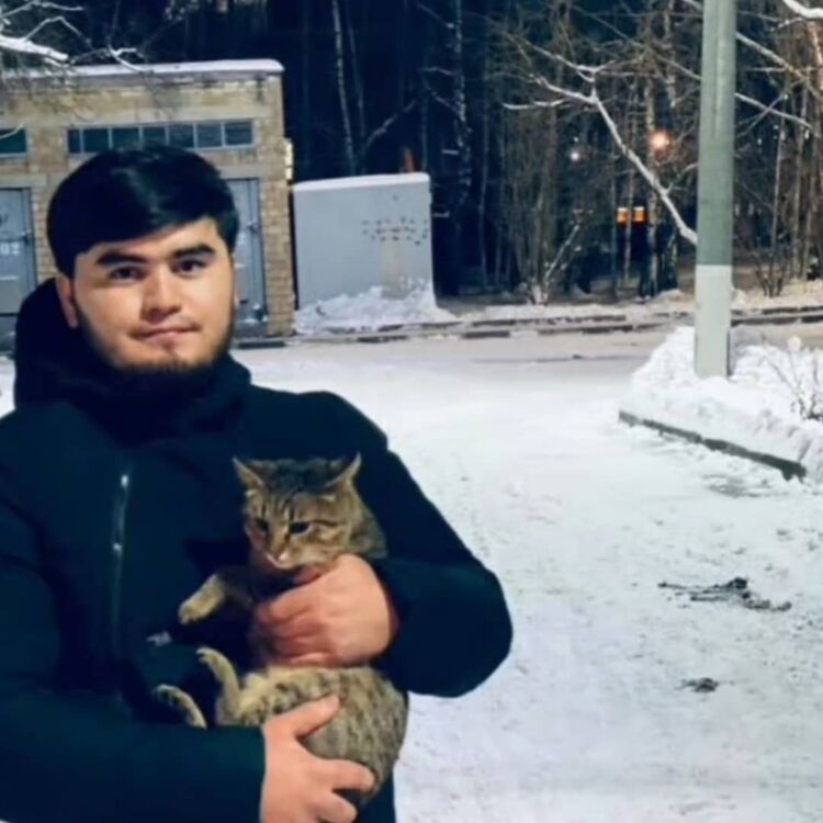 ���� 55942560 ����� �����, 21 ���, ���� ���������� � ������