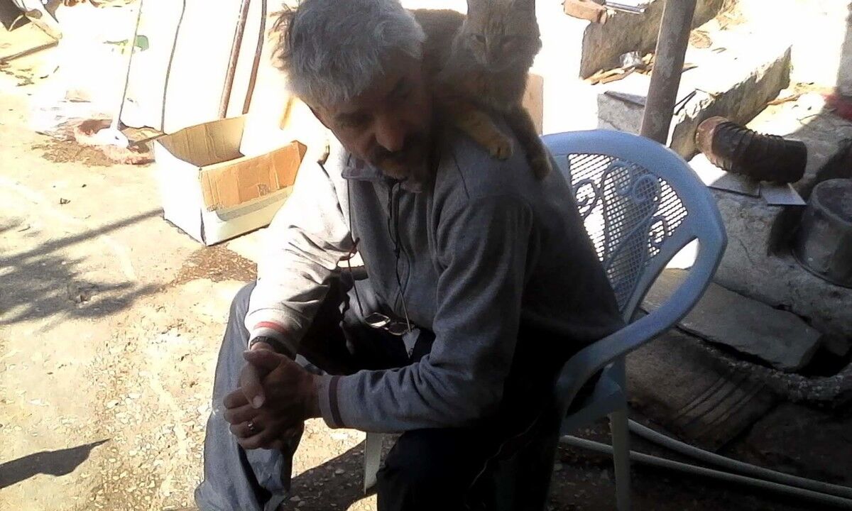 ���� 18535510 ������� Perovpetia, 62 ����, ���� ���������� � ������