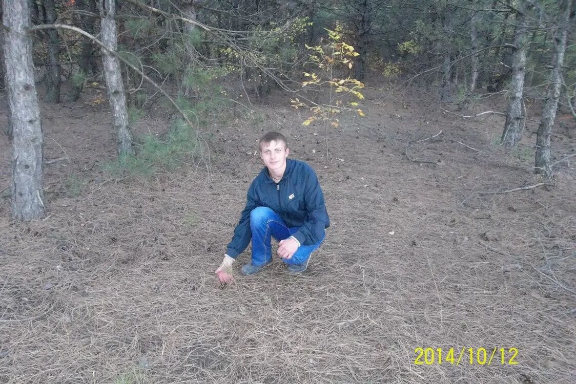  ,     , 32 ,   ,   