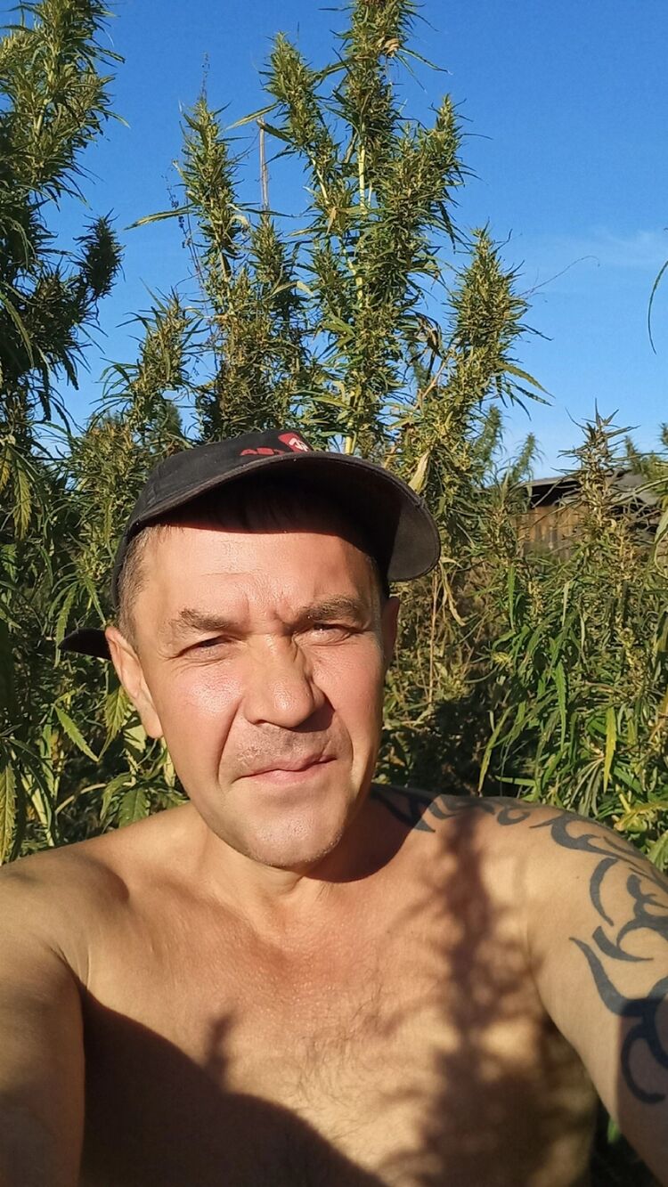 ���������� ����������, ���� ������� ����, 49 ���, ������������ ��� ������, ����� � ���������, c�������� ���������, ���������