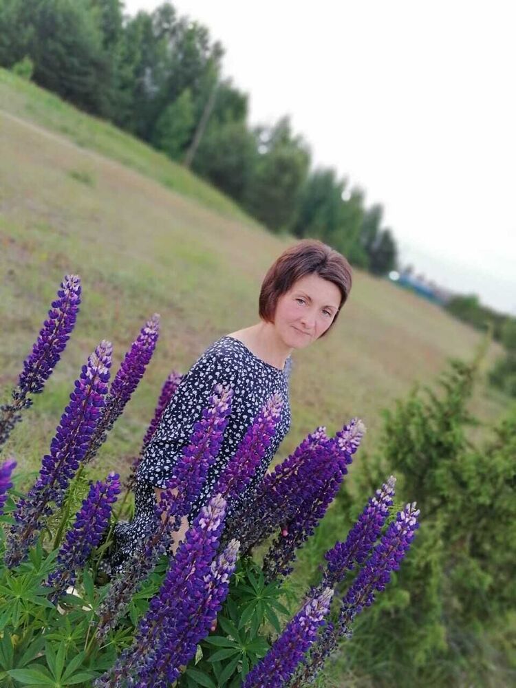  -,   , 51 ,   ,   