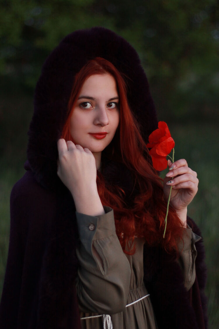  ,   , 21 ,     , c , 