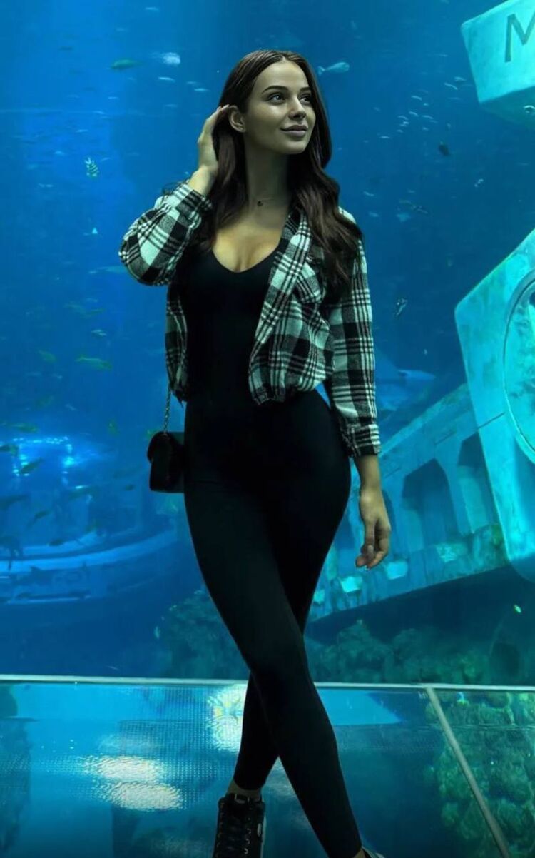 ���� 51064590 ������� ���������, 28 ���, ���� ���������� � ����