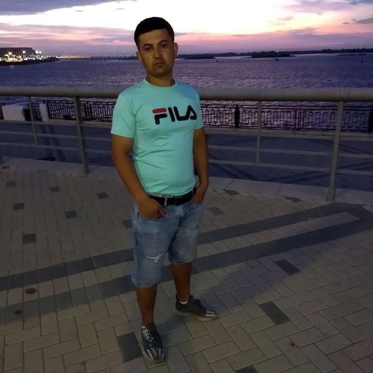  48954880  , 31 ,    