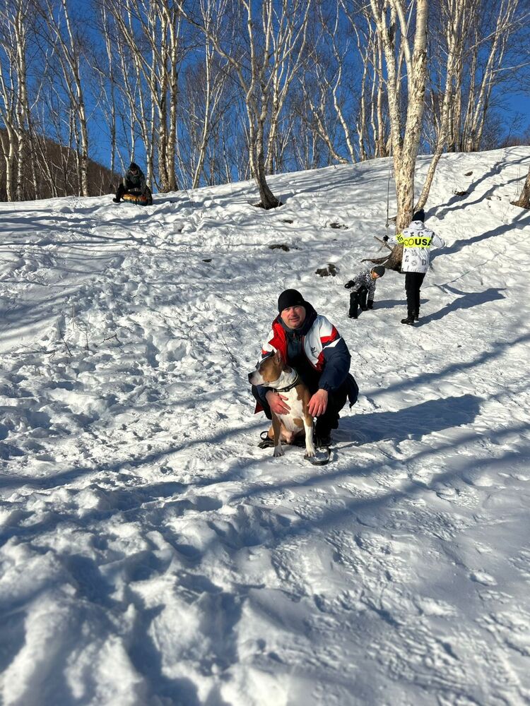  -,   , 41 ,   ,   , c 