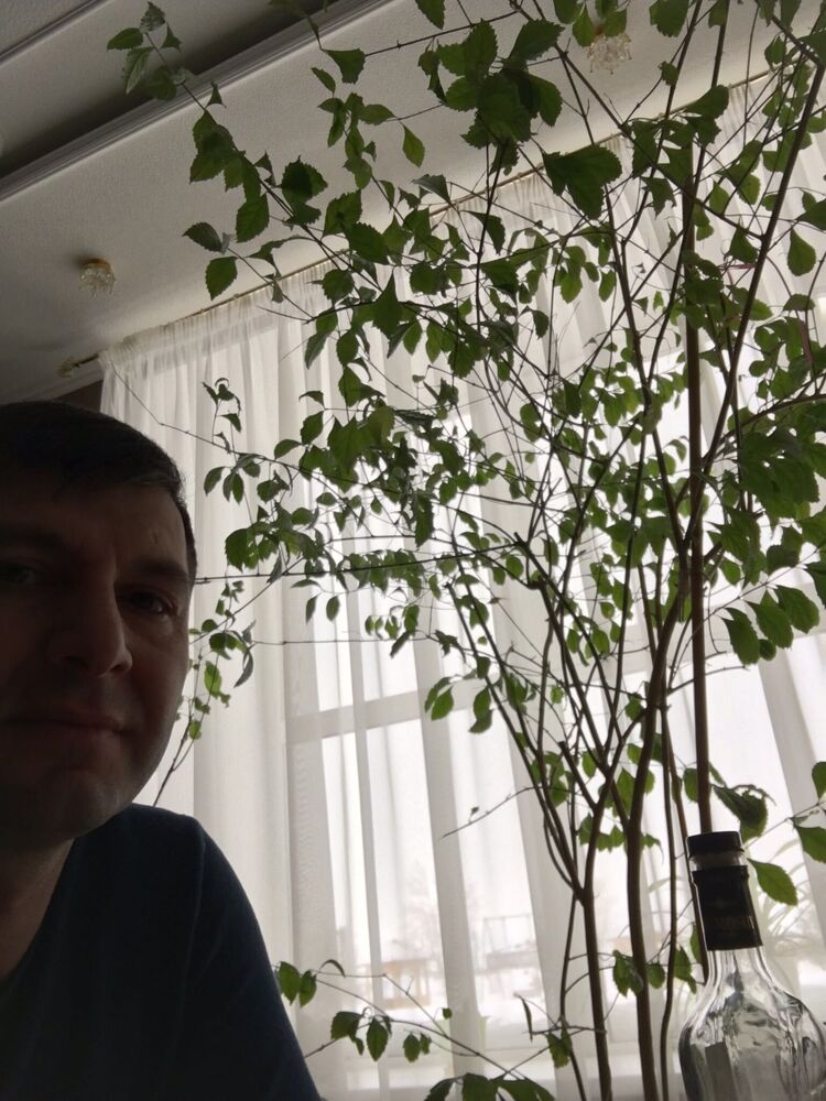 ���� 54913660 ������� ������, 48 ���, ���� ���������� � ����� �������